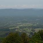 OTRA_2017_CN_0165 (August 28, 2017)